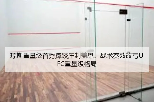 琼斯重量级首秀摔跤压制盖恩，战术奏效改写UFC重量级格局